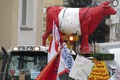 Eine Kuh demonstriert gegen TTIP